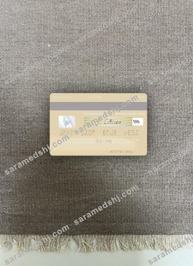 North Korea Daesong Bank visa debit card photolook back